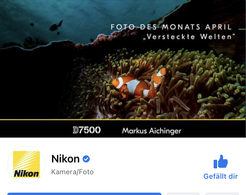 WOW!!! Bild des Monats bei Nikon