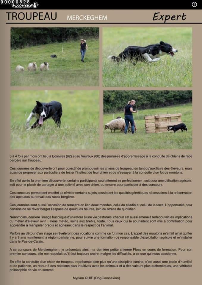 Le Mag photo n°2 de Philouska - Dog Sport Photographer.