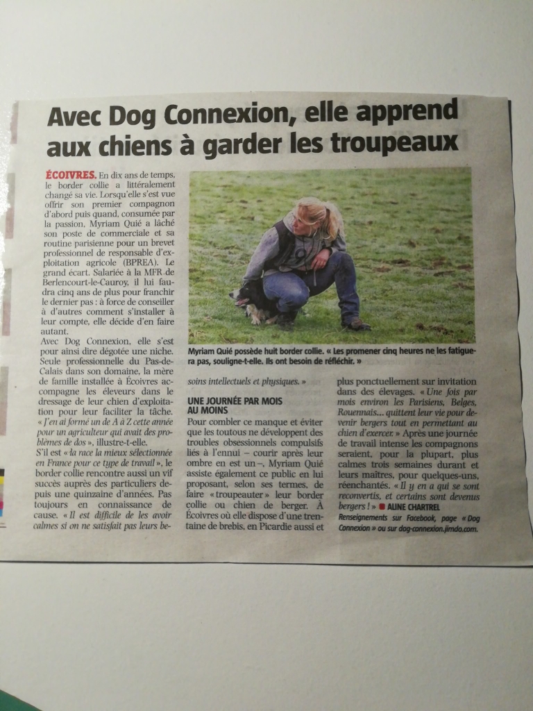 Voix du Nord - Novembre 2019