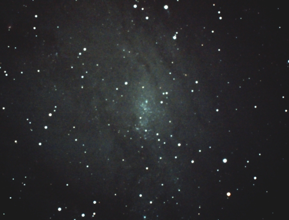 NGC206