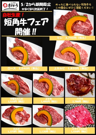 短角牛フェア！