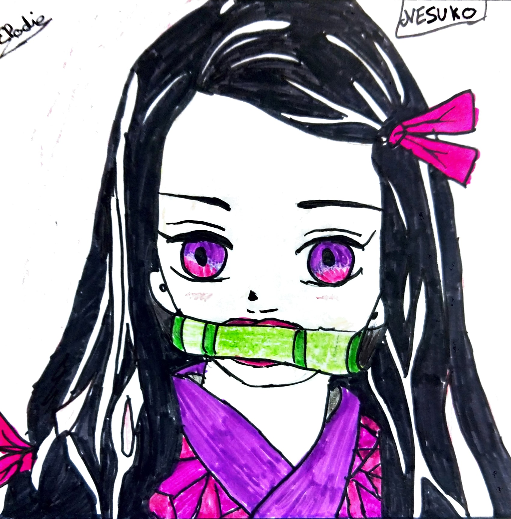 Dessin d'Elodie, 3ème