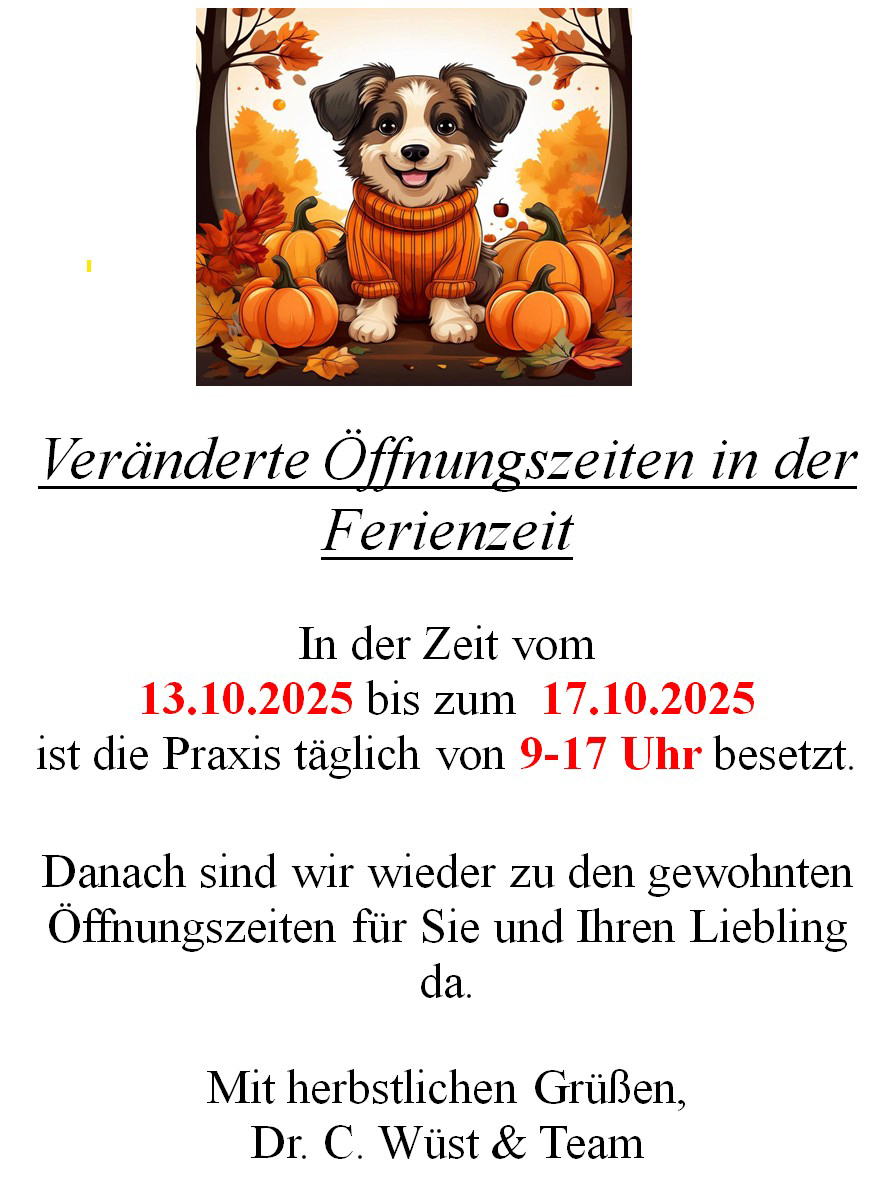 Herbstferien = veränderte Öffnungszeiten