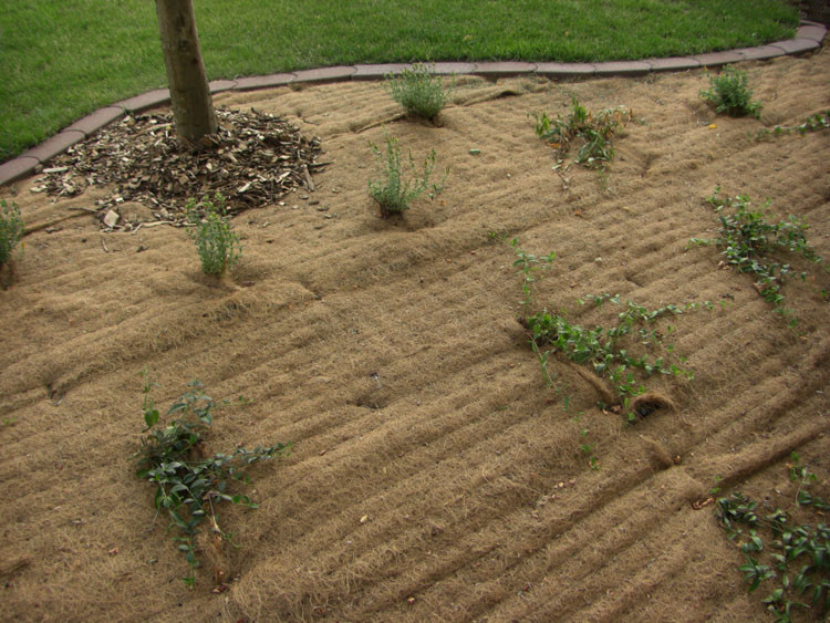 Protection de plantation paysagère avec le paillage MULCHMAT