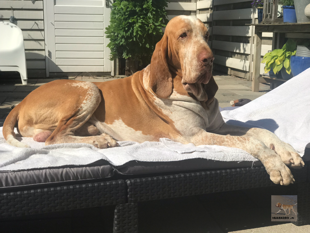 Mosé op zijn verjaardag op het ligbed in de tuin. 01-06-2019