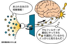 大学共同利用機関法人 生理学研究所 HPより