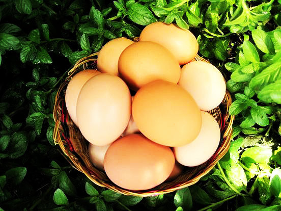 Huevos criollos