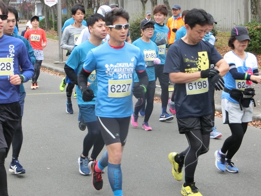 長居公園ふれあいマラソン Npo法人日本ライフロングスポーツ協会