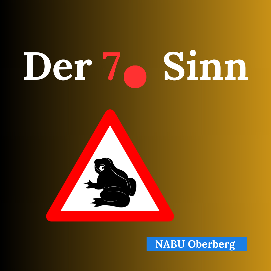 der 7. Sinn