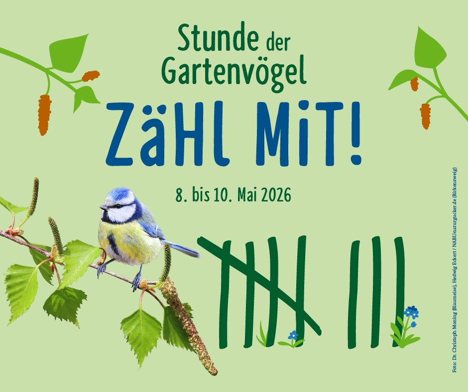 Stunde der Gartenvögel 2026