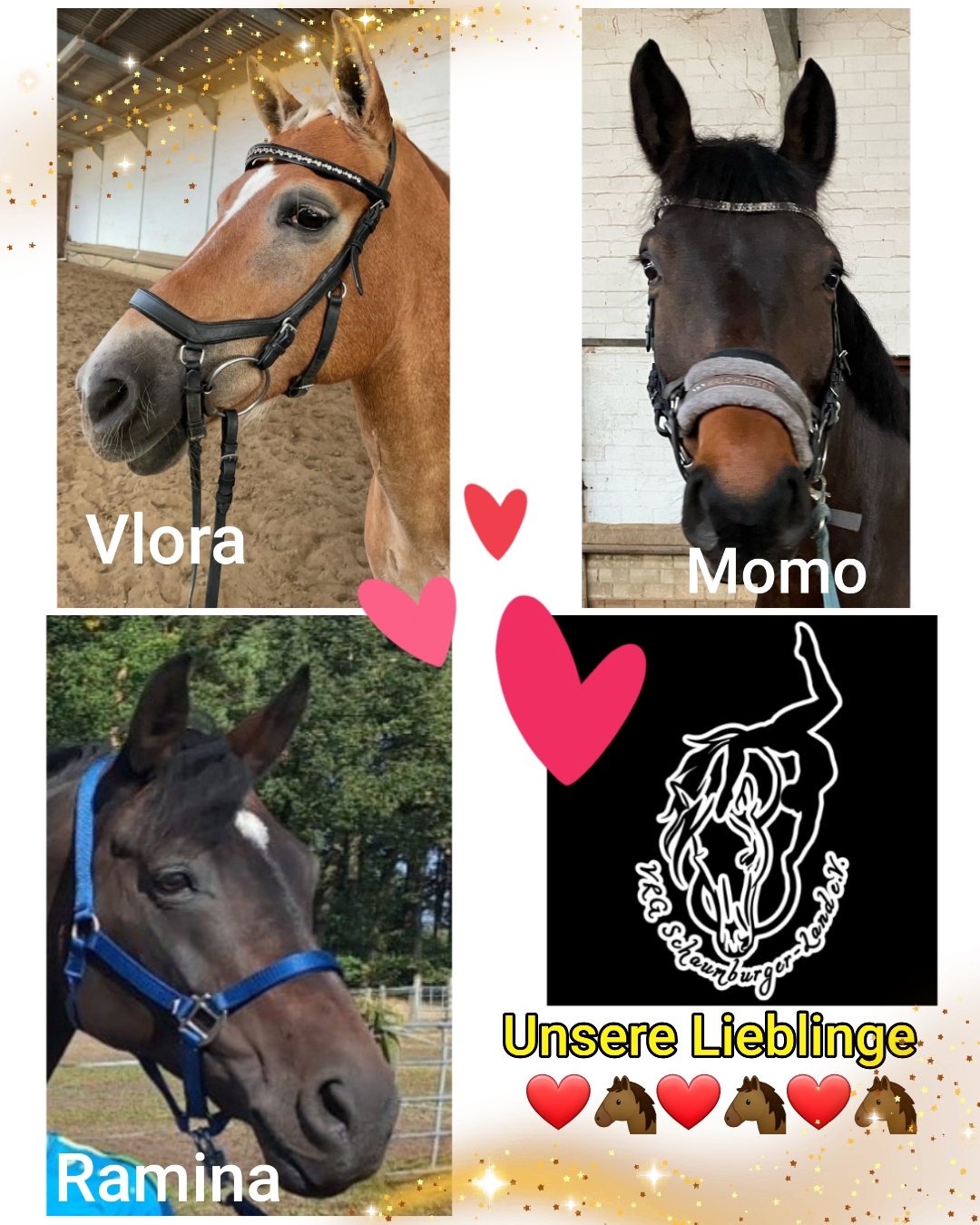 Unsere Pferde 2025❤🐴❤🐴❤🐴❤ Momo, Ramina und Vlora 