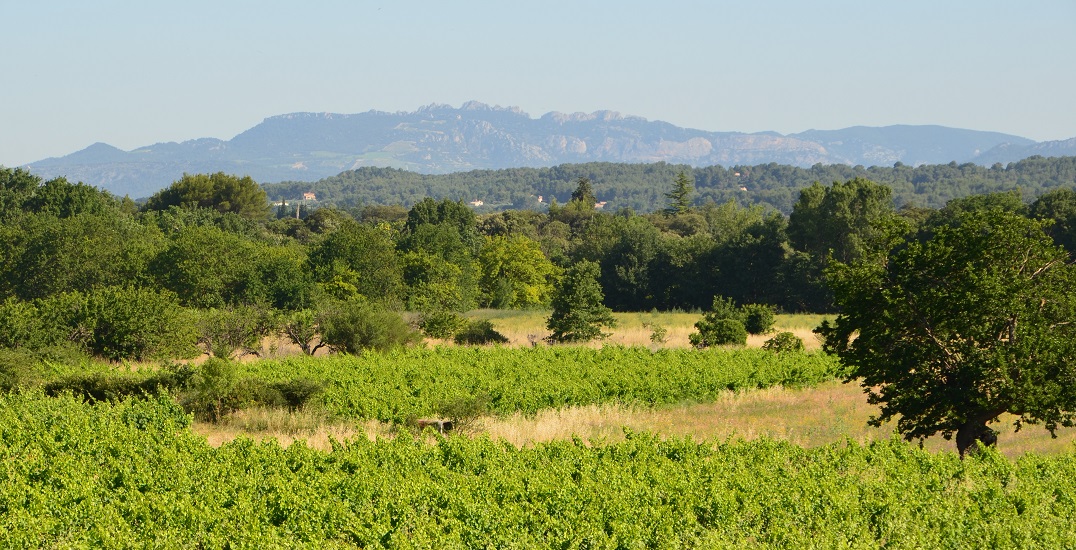 St. Didier - Joggingrunde mit Blick bis zu den Dentelles de Montmireil