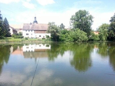 Blick über den Teich 2