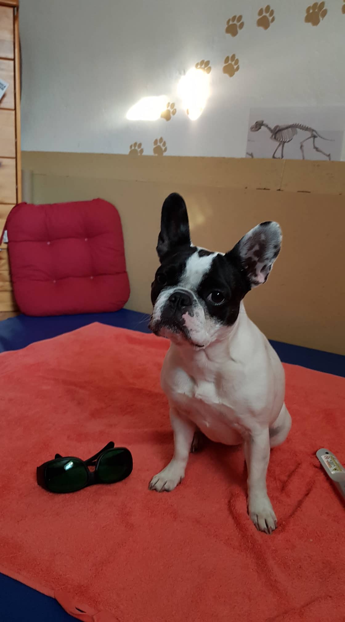 Betty