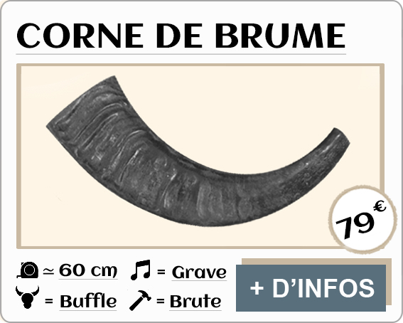 Corne de brume en buffle brute 60cm - cornibus