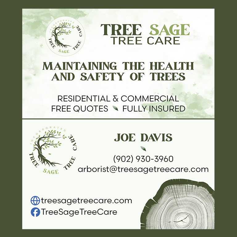 Business Card Design