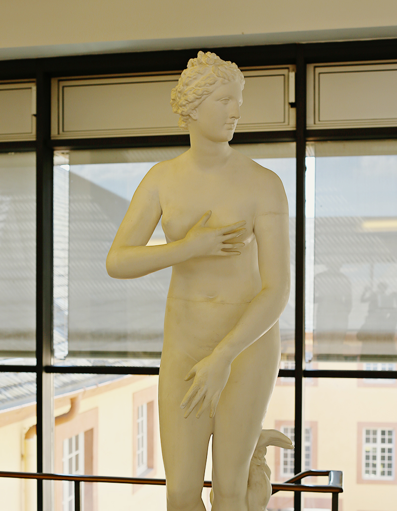 Aus den Wellen des Meeres geboren, zur Liebesgöttin auserkoren. Die Venus Medici erlangte, wie kaum eine Statue sonst, nach ihrer Wiederentdeckung im 17. Jahrhundert durch ihre Schönheit enorme Popularität.