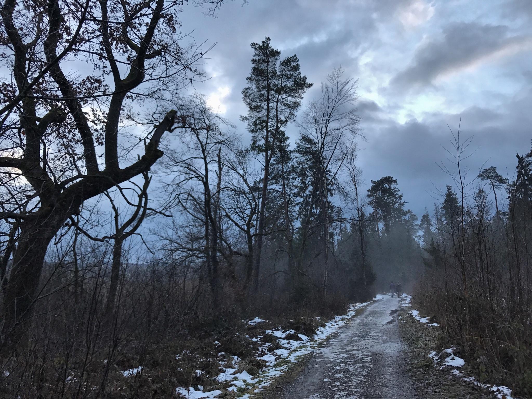Etappe 15: Simssee - Prien
