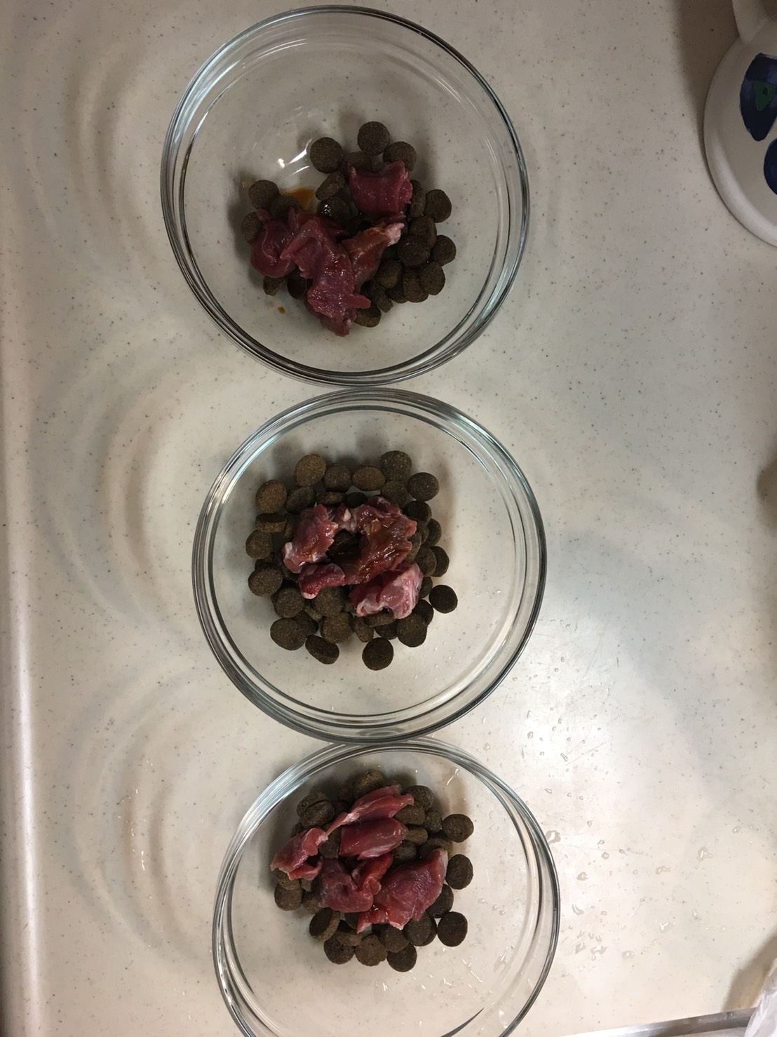 親子で多頭飼い