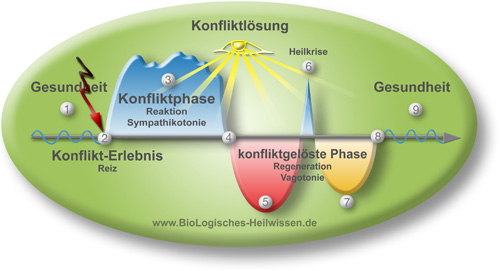 Symptom-/ Organaufstellung