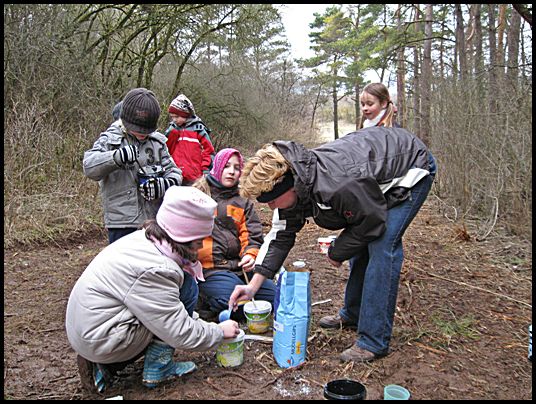 Tierspuren mit Gips konservieren