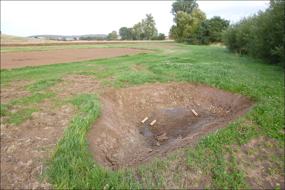 Amphibienteich als Ausgleich für den Straßenausbau.