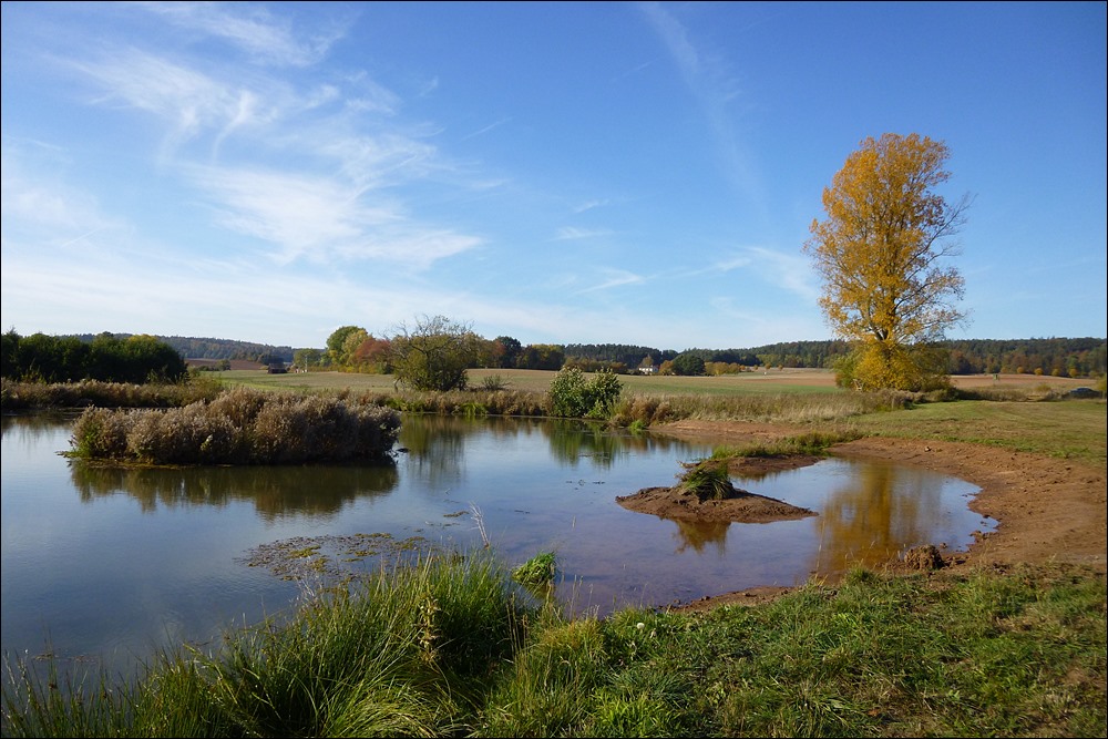 Um zwei Brutinseln und eine Flachwasserzone erweiterter NABU-Teich