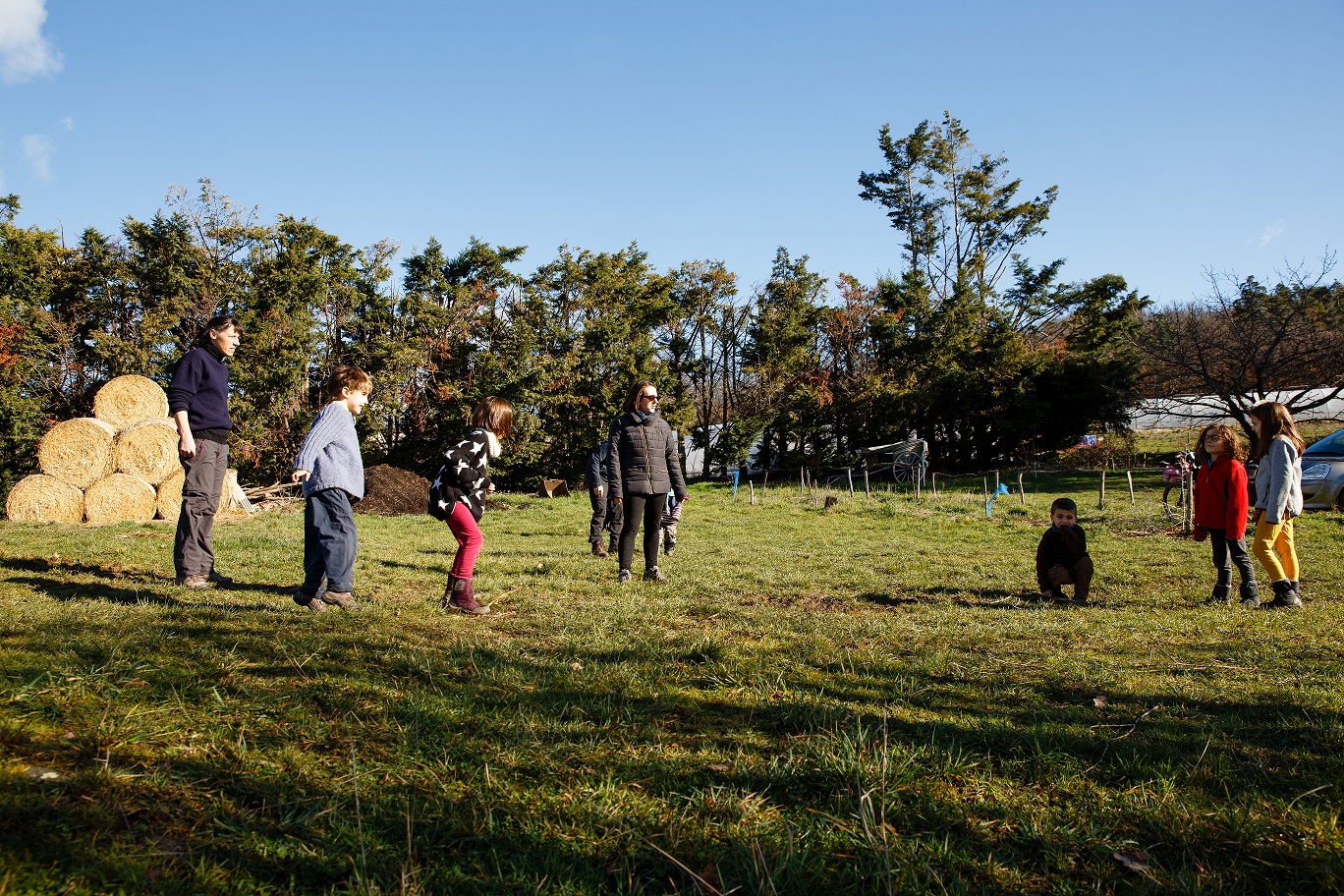 Atelier Familles en forêt