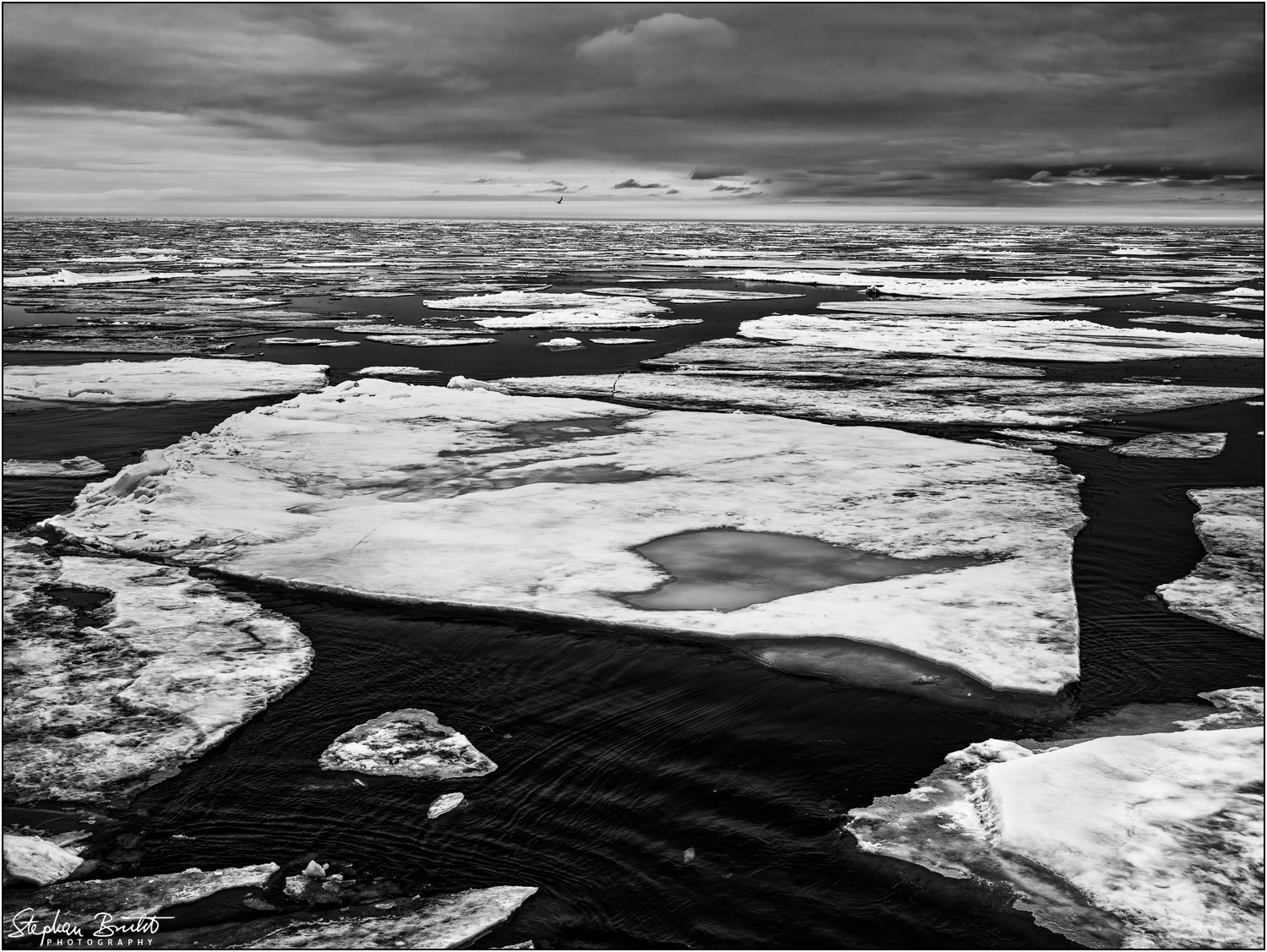 Pack ice (81°24' N)