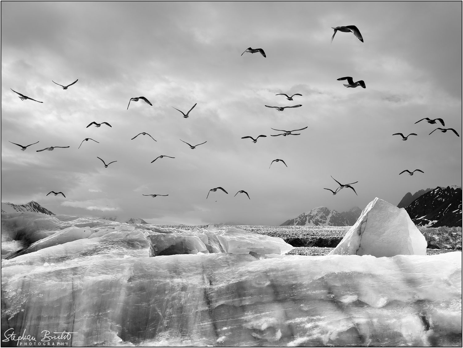 Monacobreen (Liefdefjord)