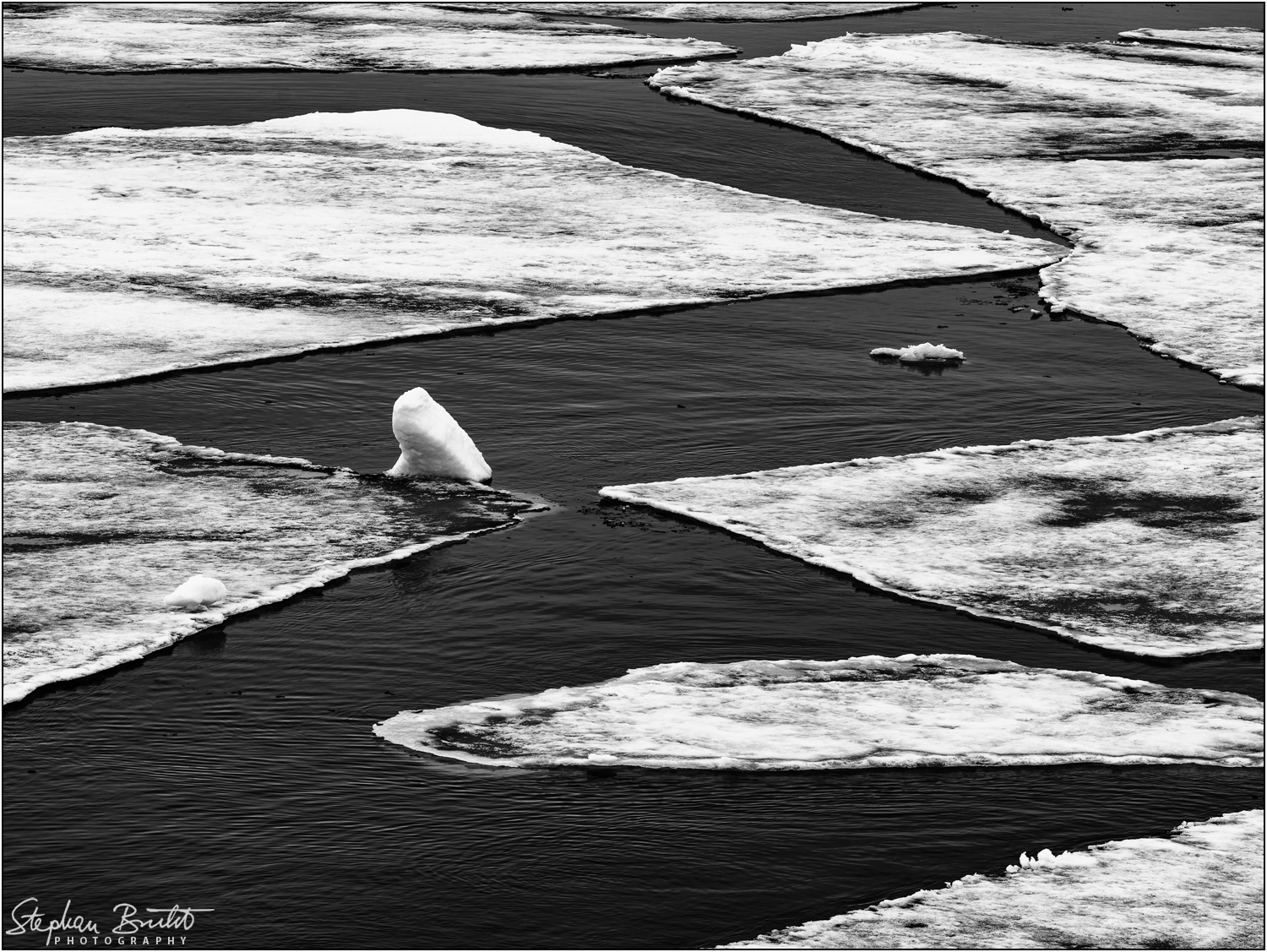 Pack ice (81°24' N)