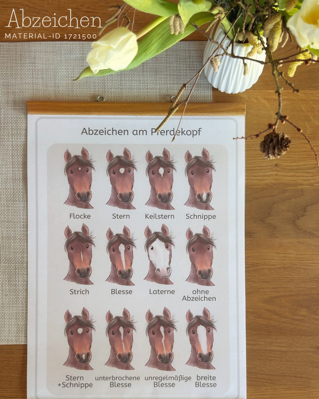 DIY Plakate rund ums Pferd