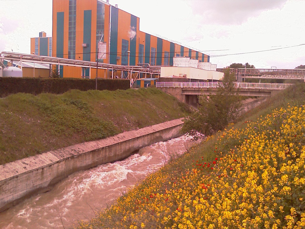 Estudio HidrológicoHidráulico del río Tirón a