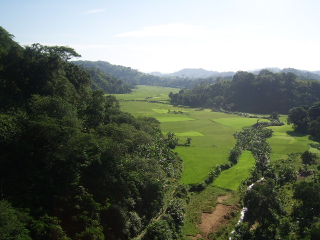 Rizières et paysage de la Côte Est vu depuis le  train