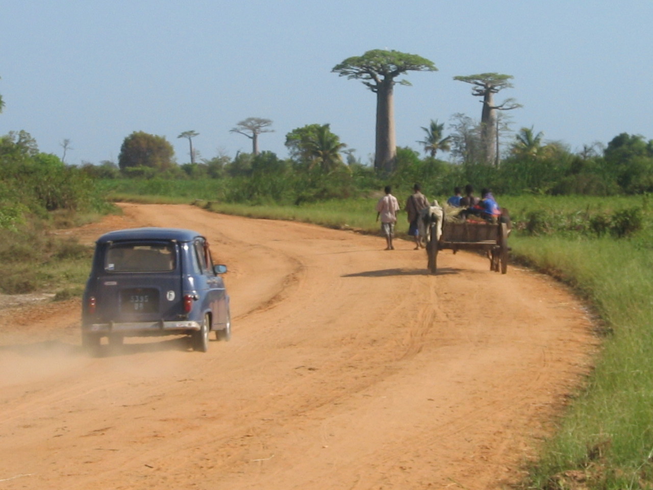 sur la piste de Morondava