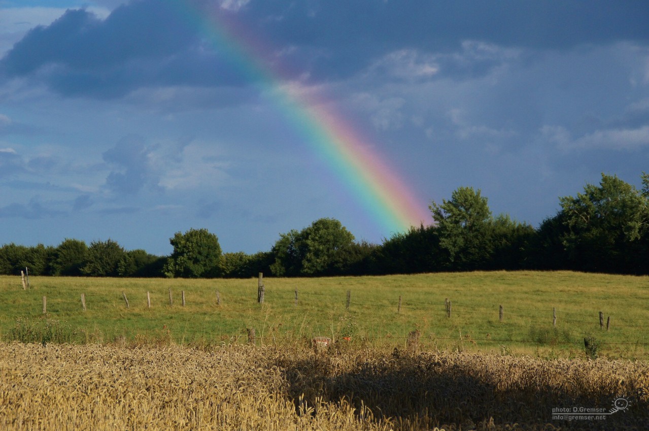 Sommerliche Felder um Löja