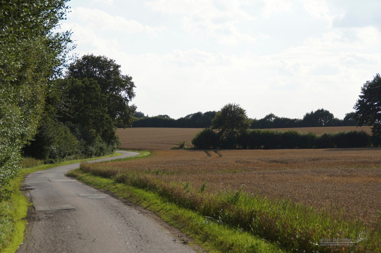 Sommerliche Felder um Löja