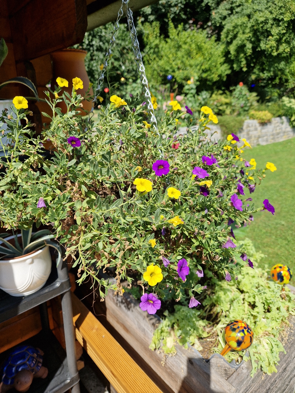 Den Vormittag verbrachten wir im Garten.