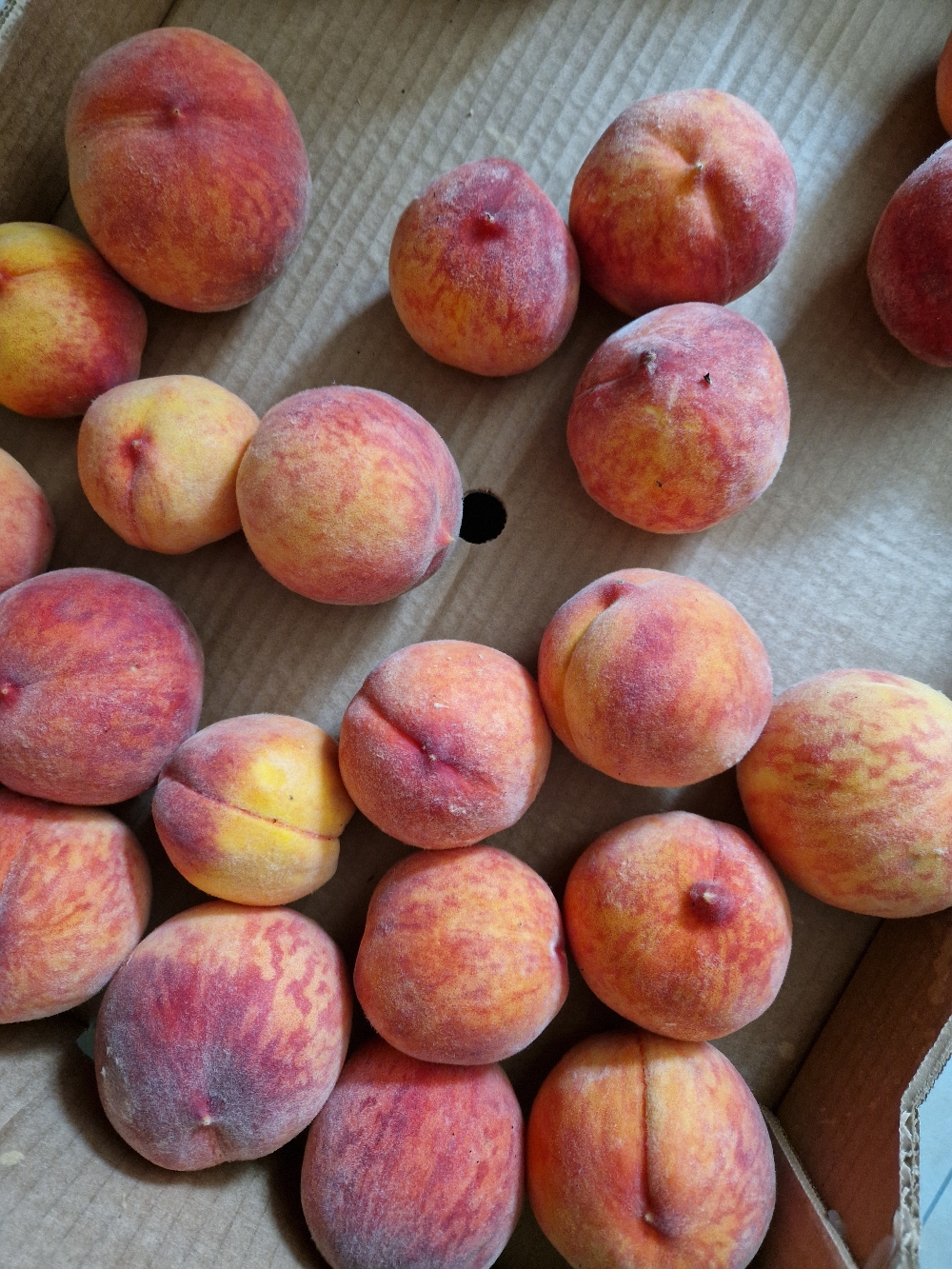 Das Obst wird heute verarbeitet. Bald gibts neuen Kuchen.