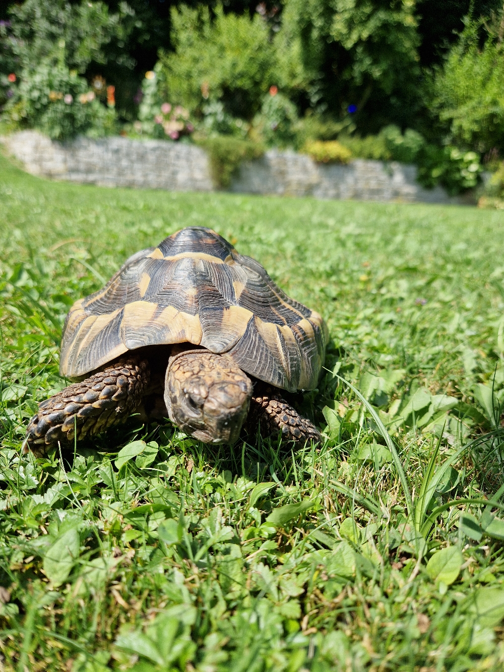 Abschied nehmen von Basti. Ich fahre wieder nach Hause.