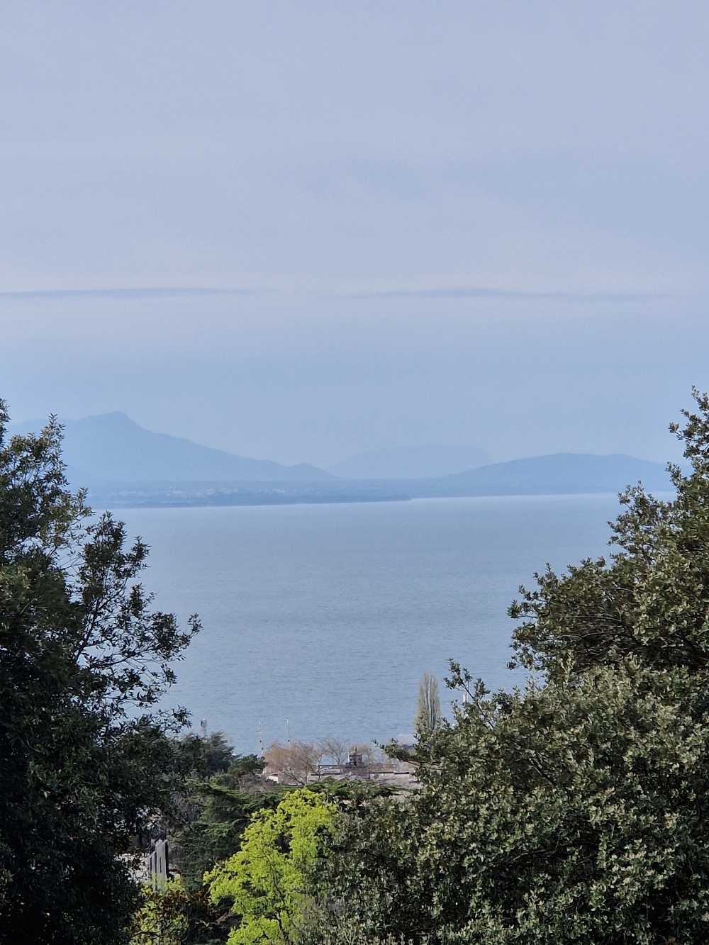 Blick auf den See
