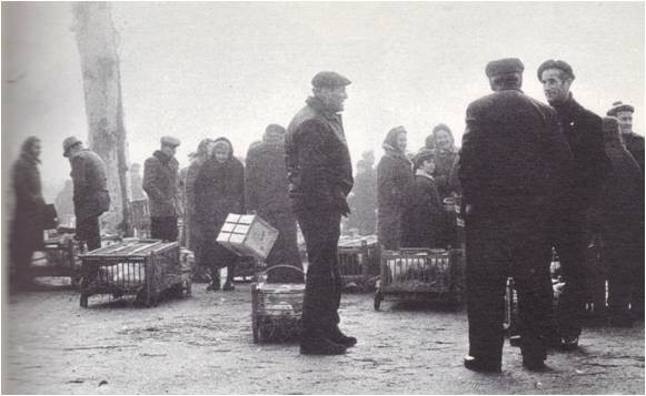 Vente de poulets de Bresse sur un marché par des producteurs locaux, 1970 (Histoire de la France rurale)