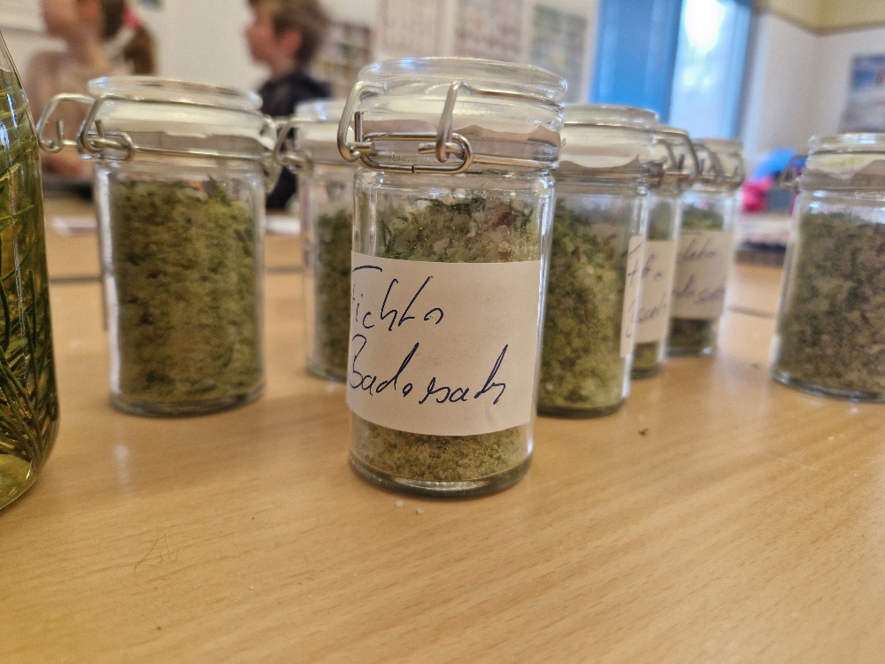 Kurse und Workshops