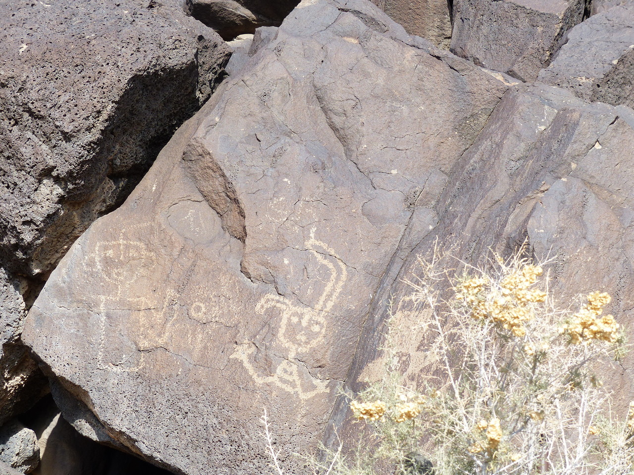 Petroglyphs in New Mexico Exploring New Mexico