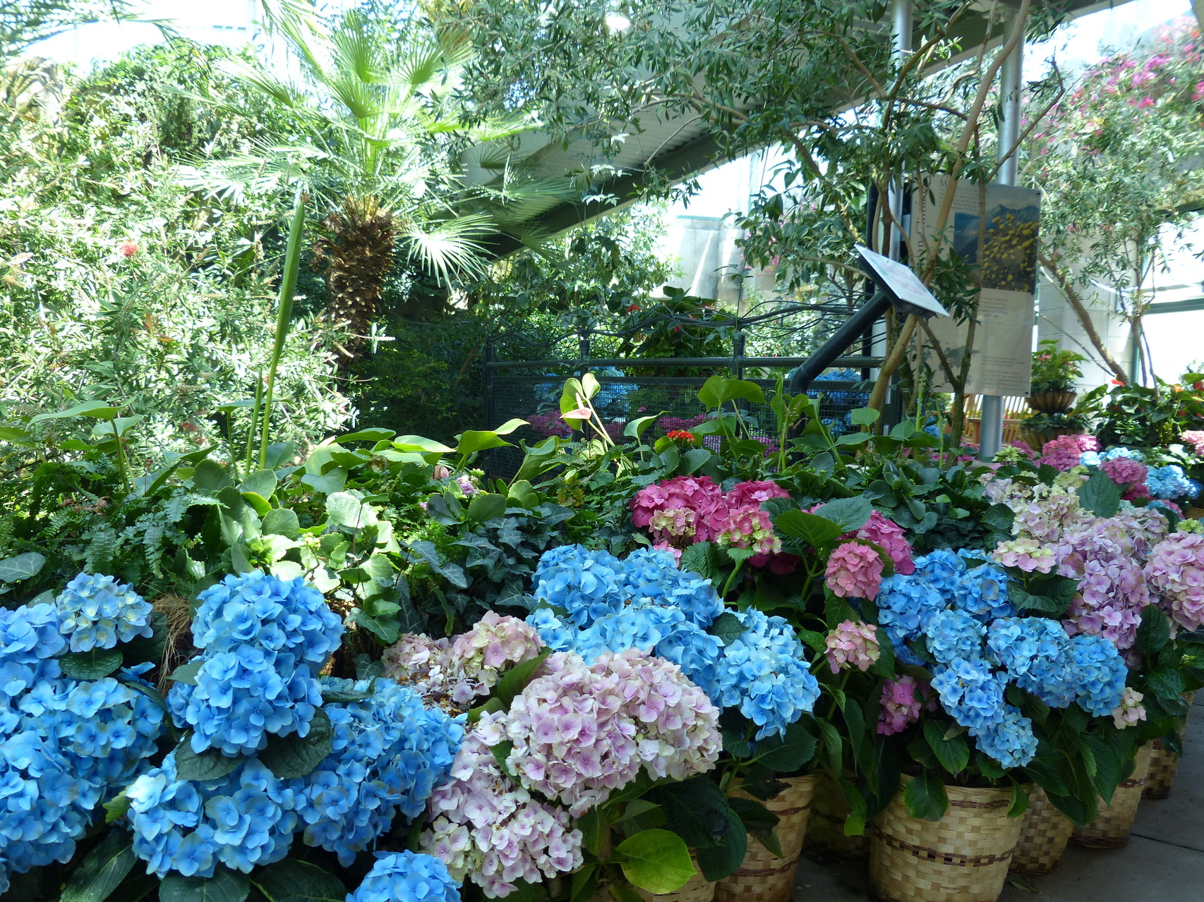 Albuquerque Botanical Gardens Exploring New Mexico