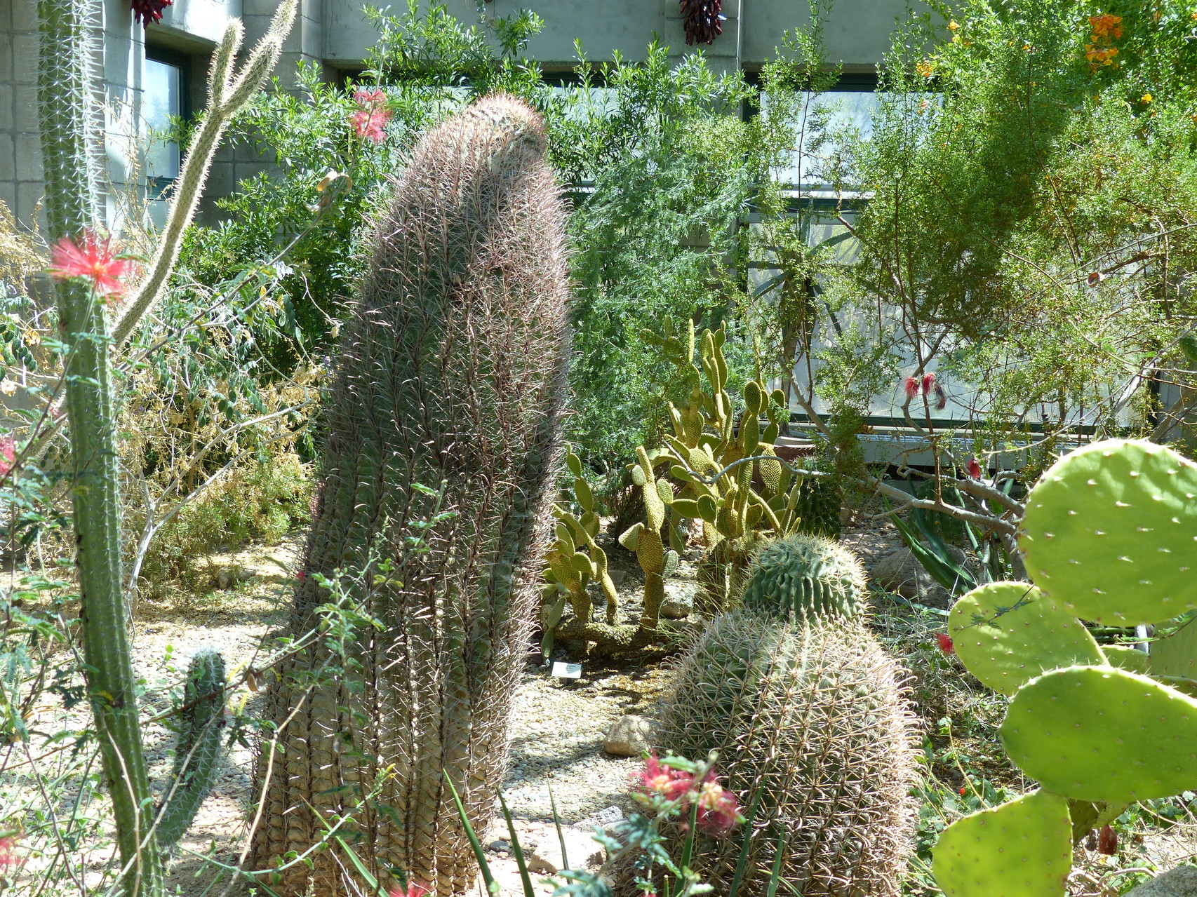 Albuquerque Botanical Gardens Exploring New Mexico