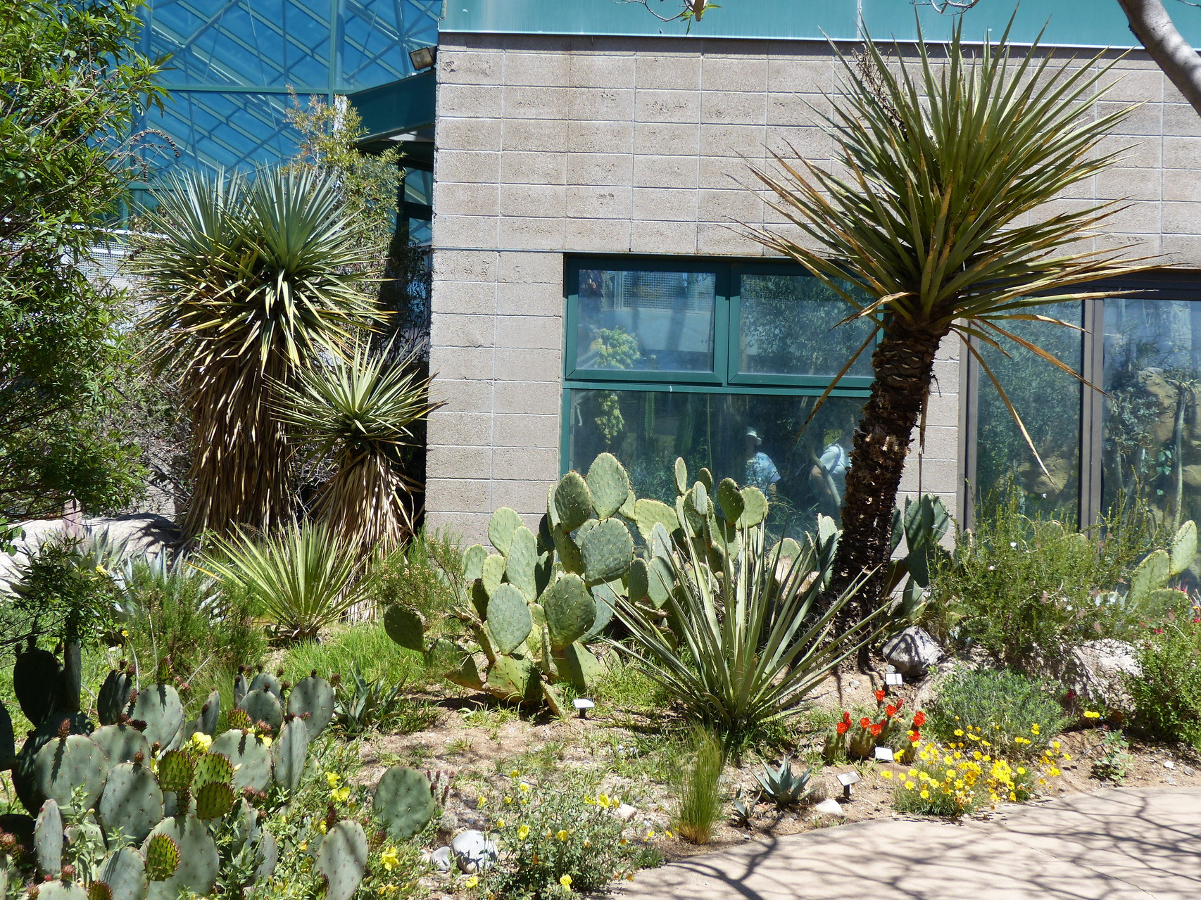 Albuquerque Botanical Gardens Exploring New Mexico