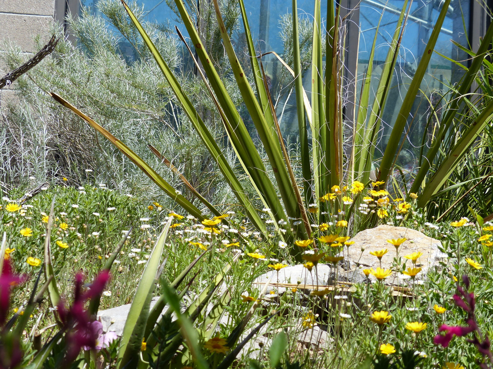 Albuquerque Botanical Gardens Exploring New Mexico
