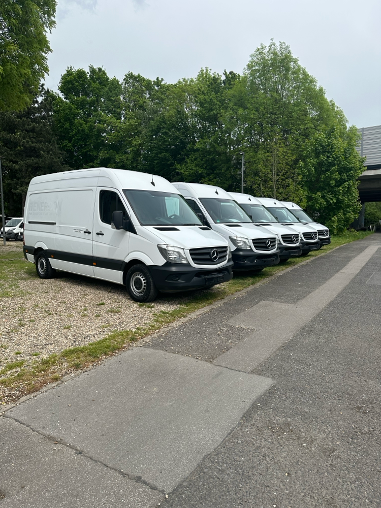 Mittlere Transporter 