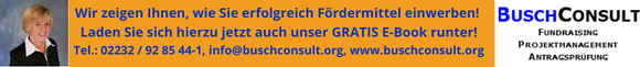 E-Book, Erfolgreiches Fördermittelmanagement, Ira Busch, BuschConsult
